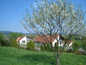 Detached single-storey bungalow with terrace